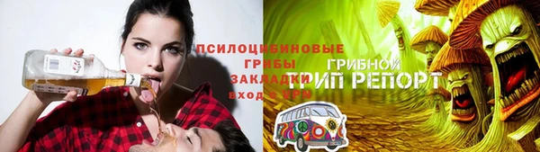 ешки Вяземский