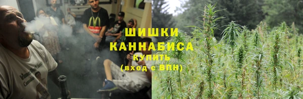 сатива Бородино